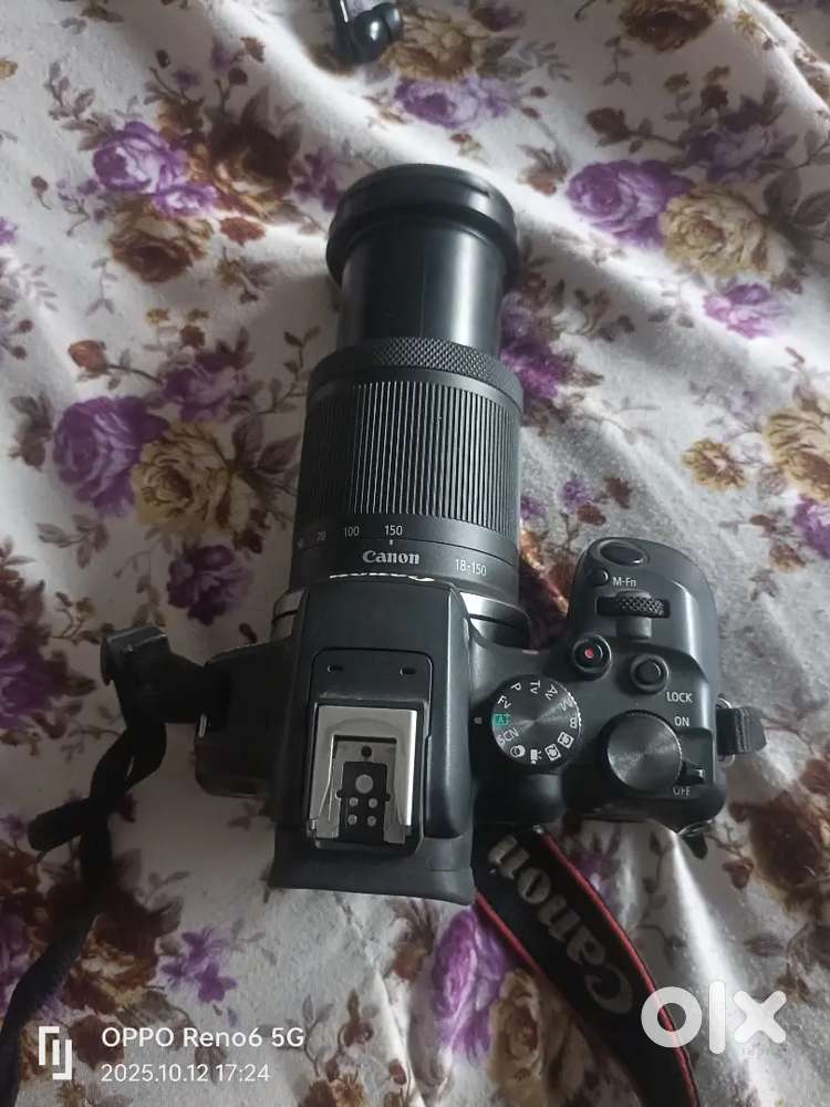 Canon r 10, Canon 80d, Nikon 5600, Canon 760d, Nikon 3500