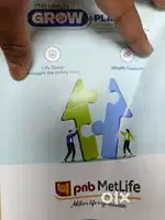 Insurance advisor PNB