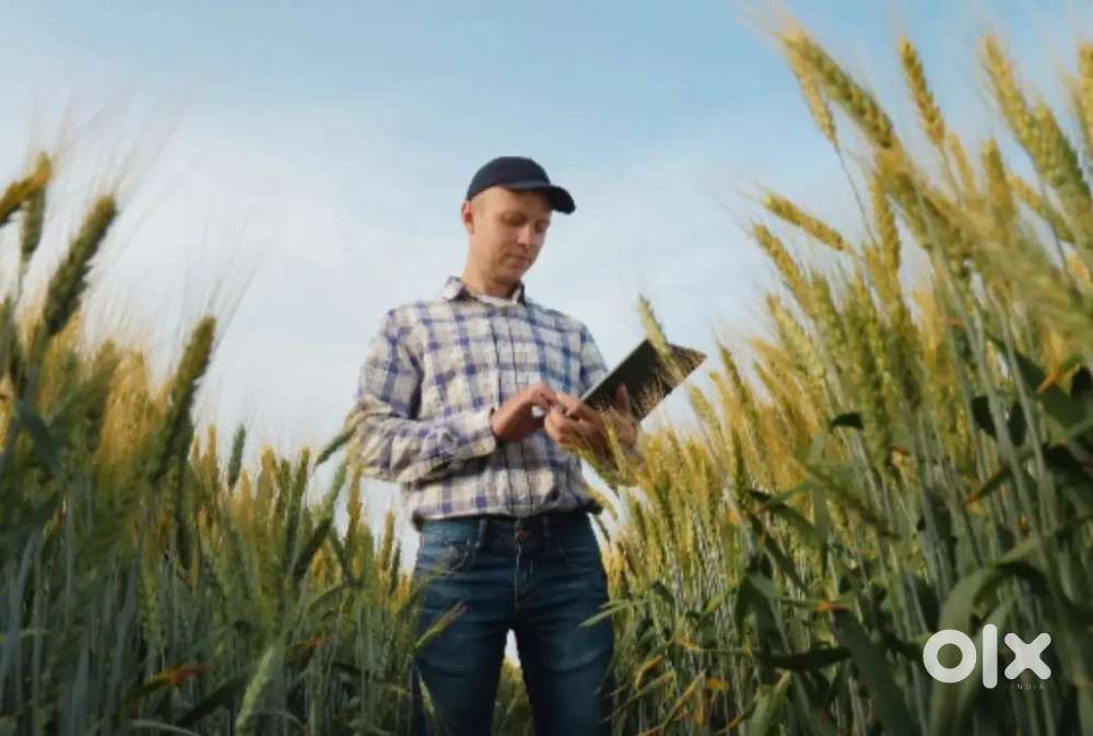 Field Marketing executive