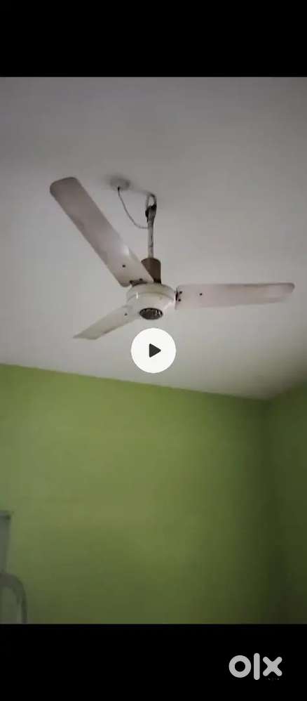 Orient Ceiling fan 1050mm