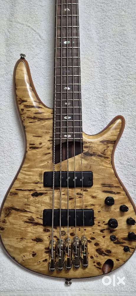 Bass guitar