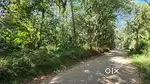 88cent land near kanjiramkulam bypass jn for rent or lease