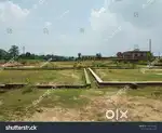 4.78 cent, 20 lakh per cent
