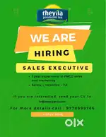 Sales executive