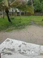 19 cent with normal house