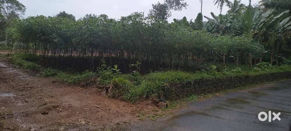 18 സെൻറ് ഹൗസ് പ്ലോട്ട് ഫോർ സെയിൽ