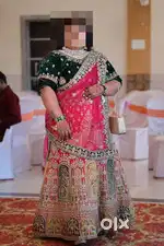Bollywood Designer choli (stitched blouse)full worked dupatta.