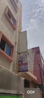 Rainbow pg for gents