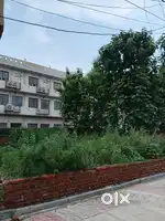 The Area Is Under Of Nagar Palika Modinagar...Rate: ₹46,000 Per Ghaj.