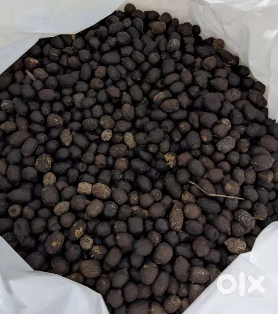 Goat dung fresh for sale
