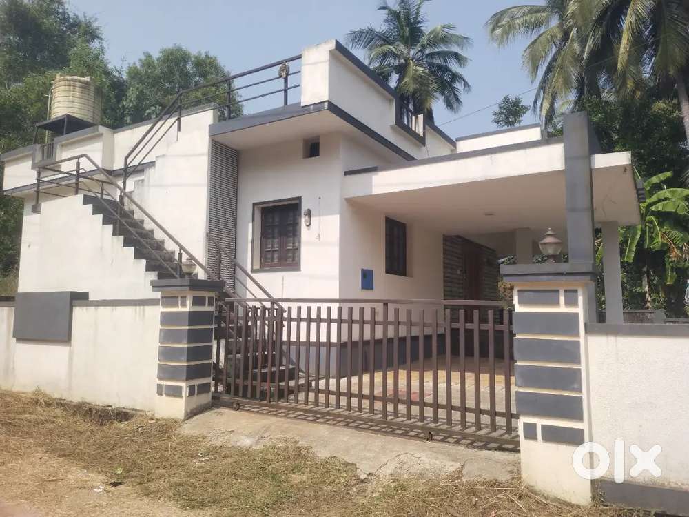 Pet shop very easy job, housewife , student boys,no education