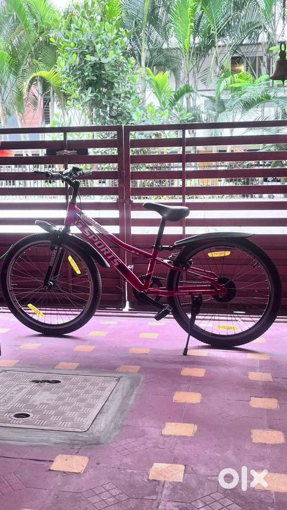 G sport and hero sprint whistle