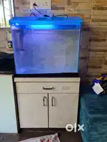 Aquarium with wooden table stand