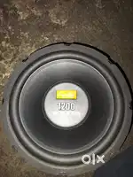 12,inch subwoofer