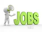 male collection boy need cooperative office .