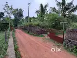 45 Cents/9 cents plot at Ammanchery