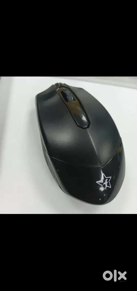 Brenda new mouse