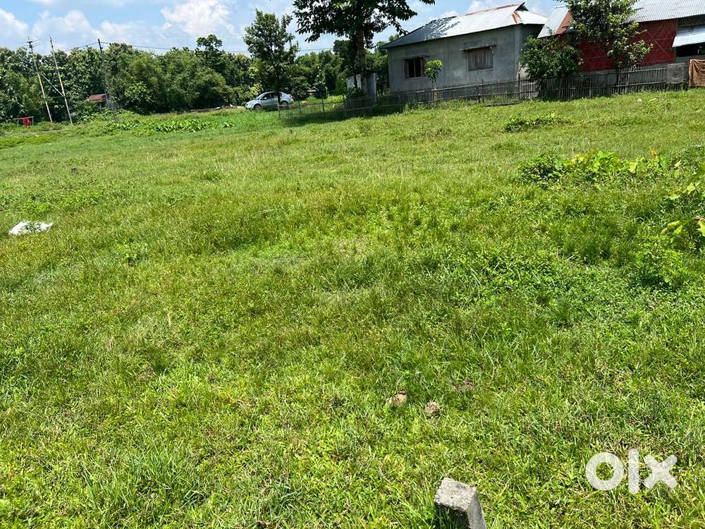 5 katha Registered plot for sale in naxalbari