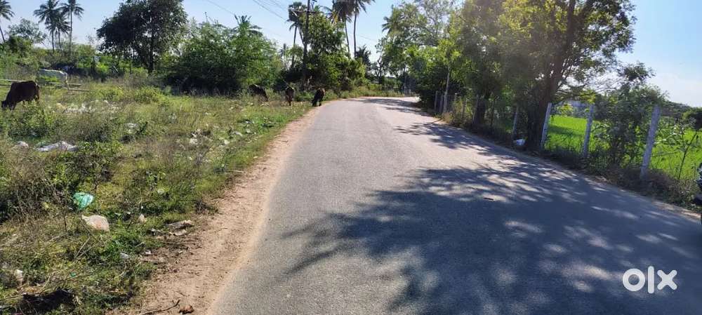 60 feet road. 150m near by Tiruninravur - Periyapalayam main road.