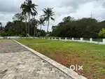 INFOPARK KAKKANAD 7 KM PADDY FRONT PLOTS PALLIKKARA MORAKKALA