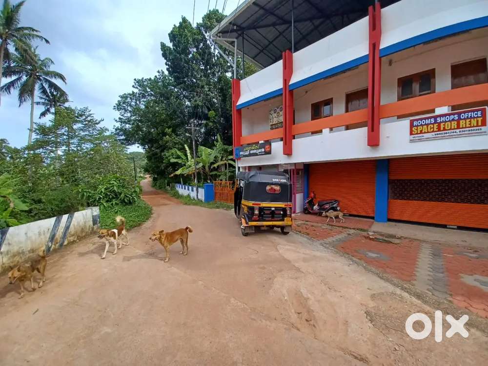 6530 sq. Ft Building for Rent/Sale