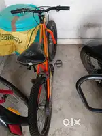 AVON brand 20 inch cycle