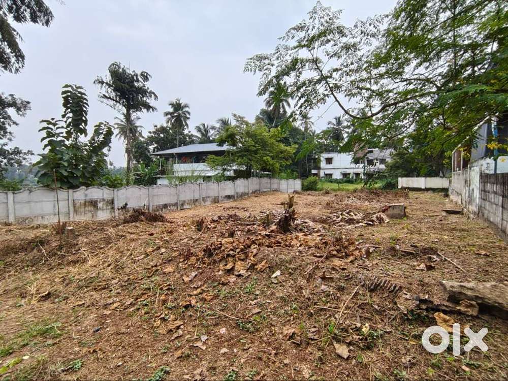 6.5 Cent Residential plot for sale nearby Kuttur - Thrissur