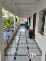 WORKING MALE BACHELORS