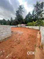7 cents for immediate sale , near thirumala