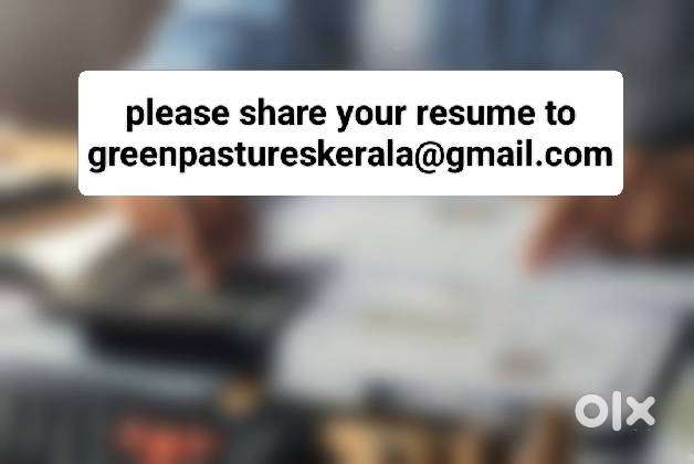 Accountant cum operations executive required for a agriculture company