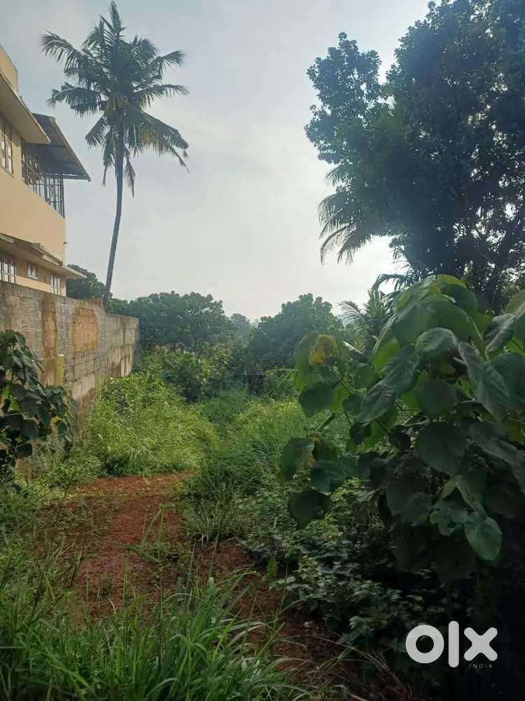 14 CENT OF LAND FOR SALE IN THRIKAKARA