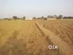 Agriculture land
