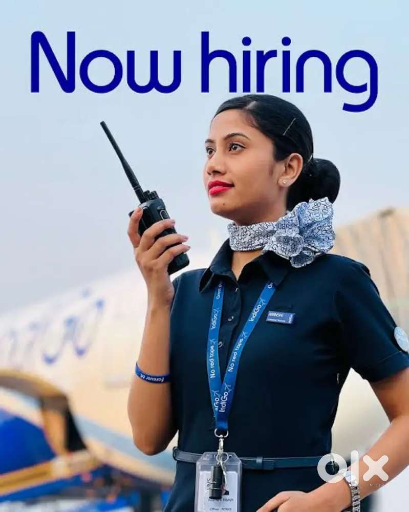 Urgent hiring for Indigo airlines limited seats apply fast l