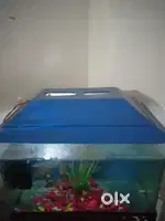 Water aquarium