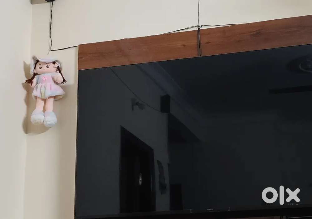 Lg tv 55inch