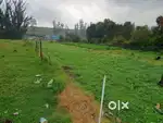 Vacant land