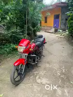 Passion plus