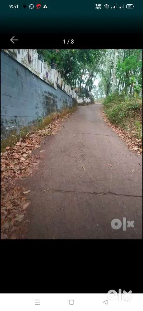 15 & 10 Cents residential land for Sale Anchal