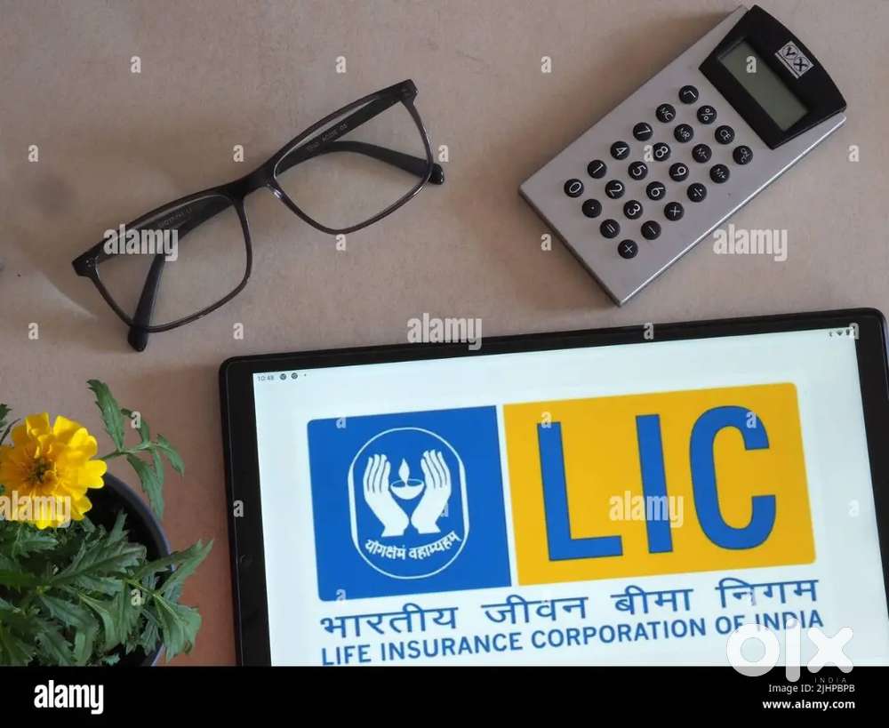 LIC Bima Sakhi