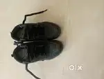 Oggy shoe with best Quality