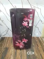 Lg smart inverter 215ltrs flower model 5 Star ratings refrigerator*/*