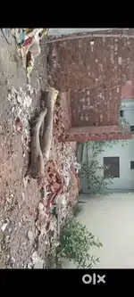 25 फीट चौड़ा और 40 फीट लंबाई है