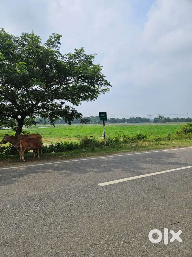 Land suitable for Resorts and hotels