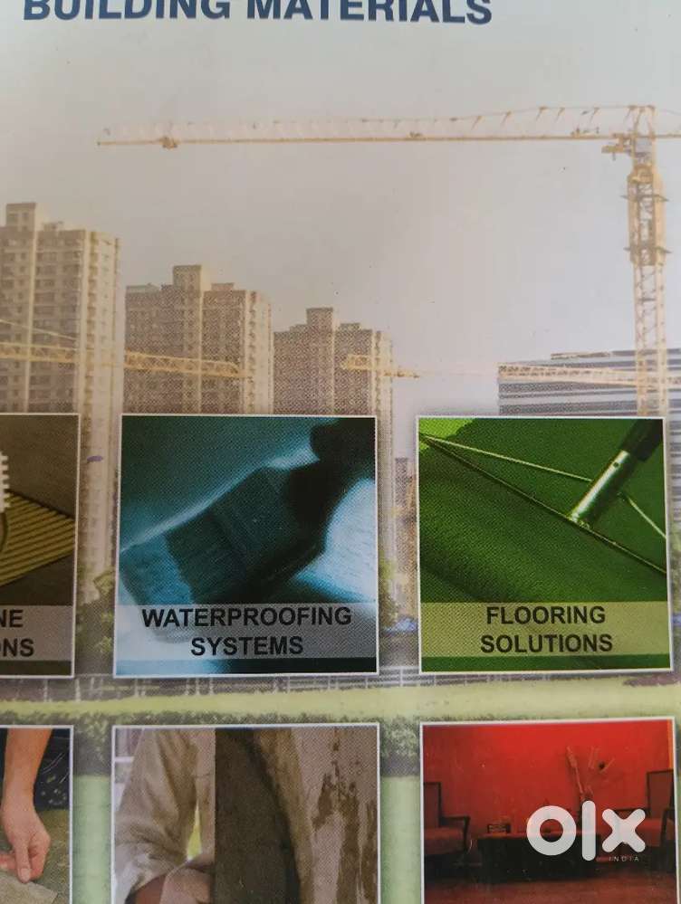 Accountant only female