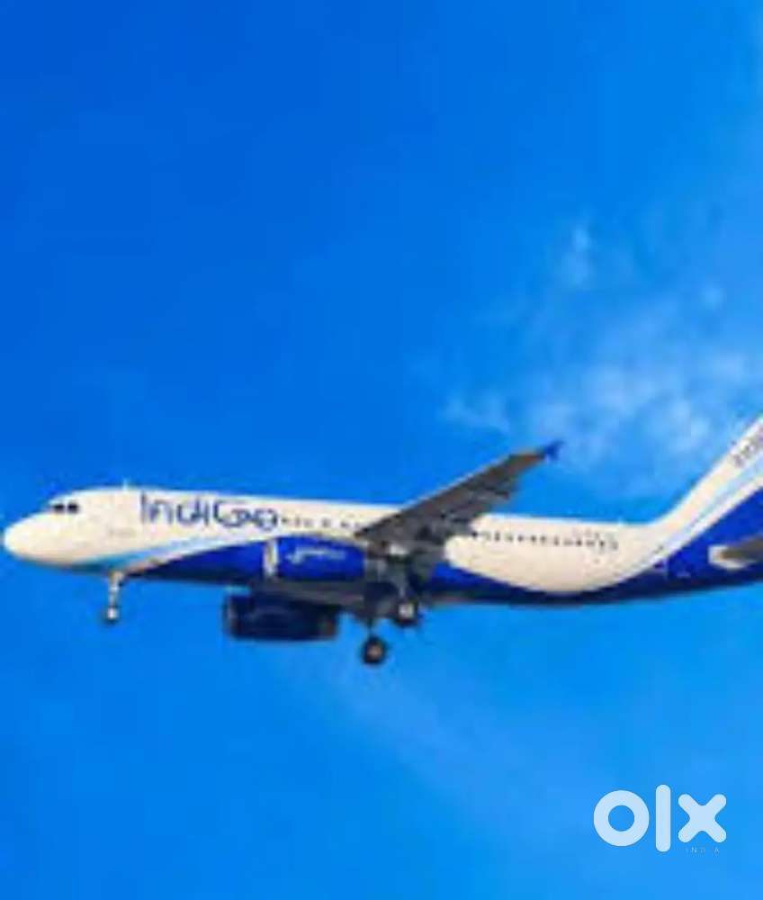 Hiring for ground staff job in Indigo airline nearest Airport