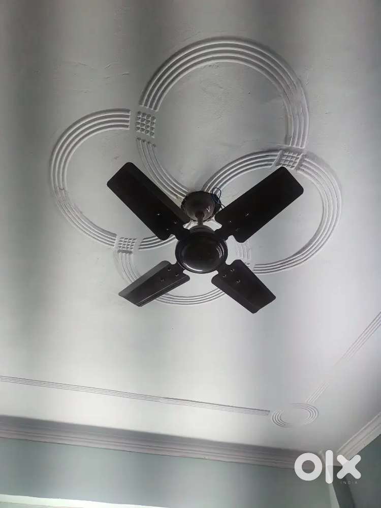 Ceiling Fan