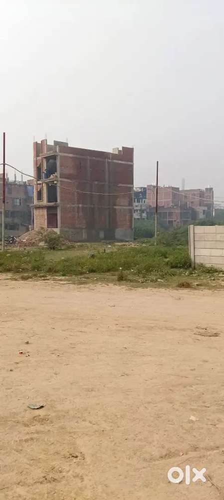 कल के भविष्य के लिए एक अच्छा इन्वेस्टमेंट जरूर से करें प्लांट में