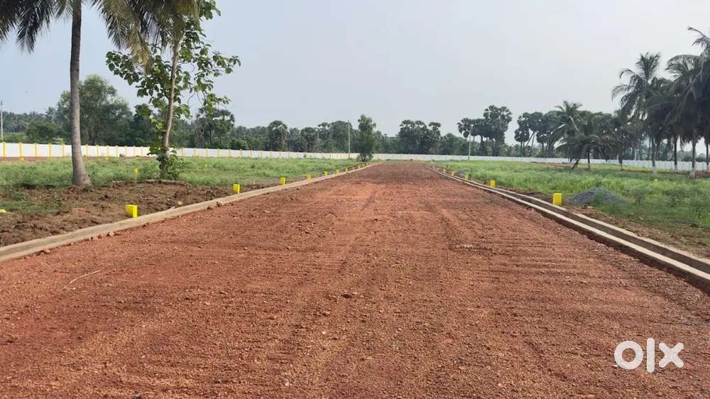 Clear title Acre Sale Bhogapuram Puligeddapalem Beach  Road