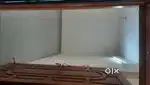 1 BHK Flat 10 years old
