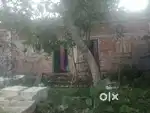 15lack er modhea bikri kortea cai2.5gonda.gari dokbeana